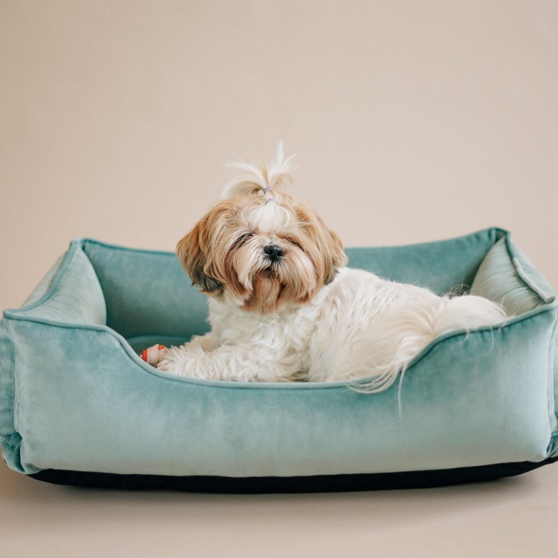 Turquoise Velvet Orthopedic Mat Bed For Dog, Small Dog Bedding,  Cyan Plush Puppy Pillow, Washable and Removable Bed Cover Easy to Clean