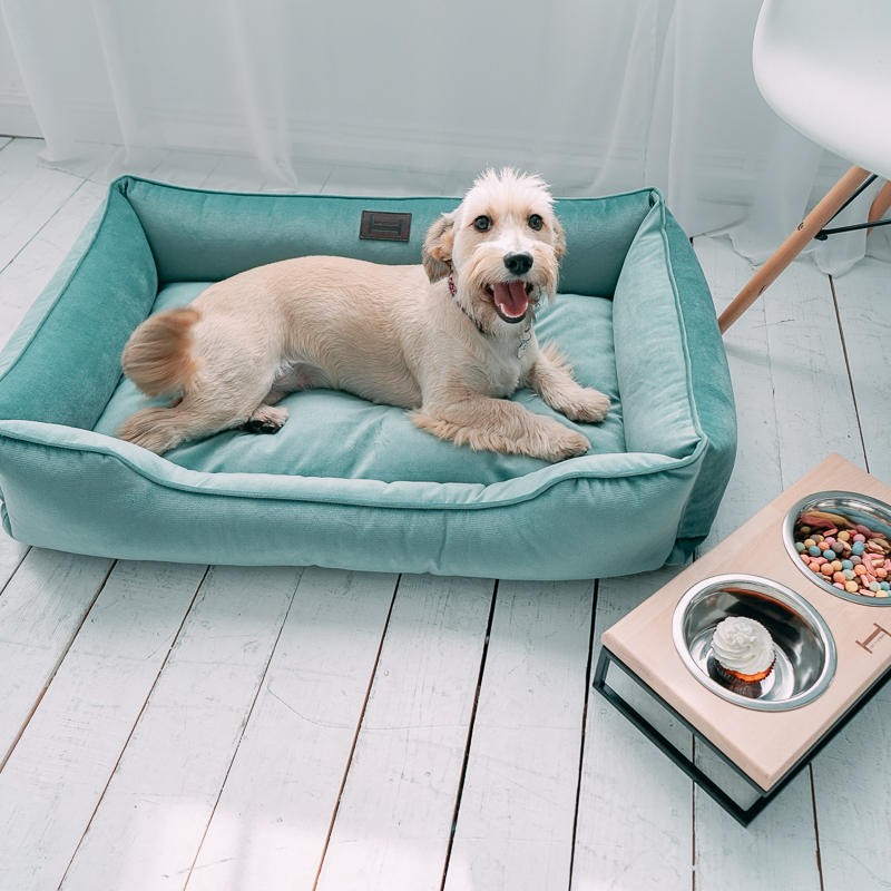 Cozy Turquoise Velour Orthopedic Bed For Small and Middle Dogs, Small Dog Bedding, Cyan Plush Puppy Pillow