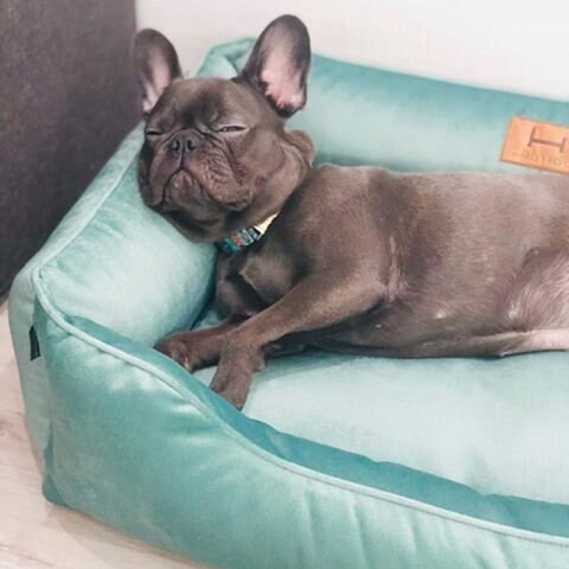 Cozy Turquoise Velour Orthopedic Bed For Small and Middle Dogs, Small Dog Bedding, Cyan Plush Puppy Pillow