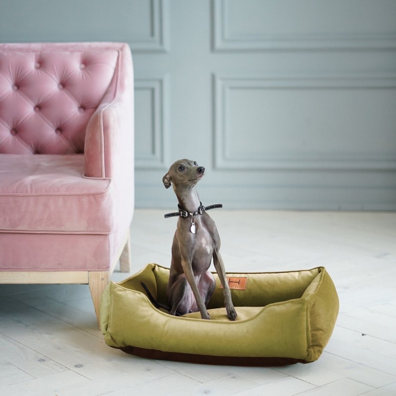Sage Green Dog Velour Bed, Plush Mat for Spitz, Pet Bed Couch, Dog Lounge Bed, Soft Furniture for Dog of All Sizes