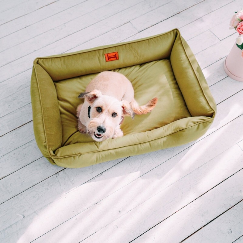 Sage Green Dog Velour Bed, Plush Mat for Spitz, Pet Bed Couch, Dog Lounge Bed, Soft Furniture for Dog of All Sizes