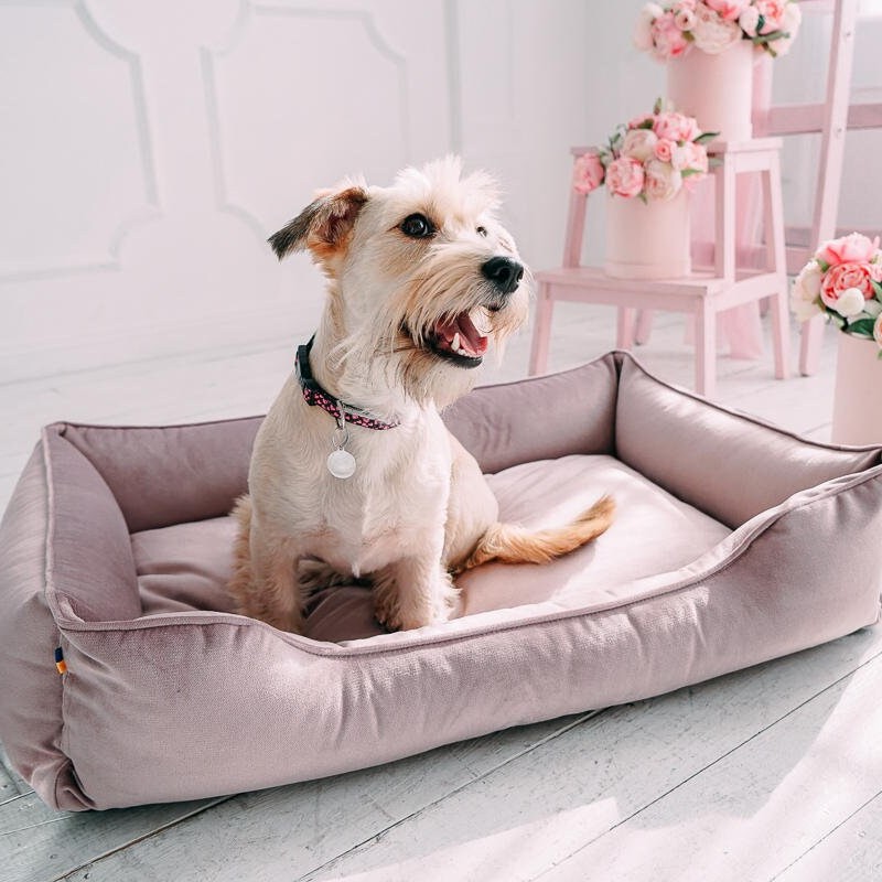 Mini dog bed Dusty Pink / Pale Pink velvet mat for dog / Puppy nesting / pet plush pillow / Puppy couch / Washable dog bed
