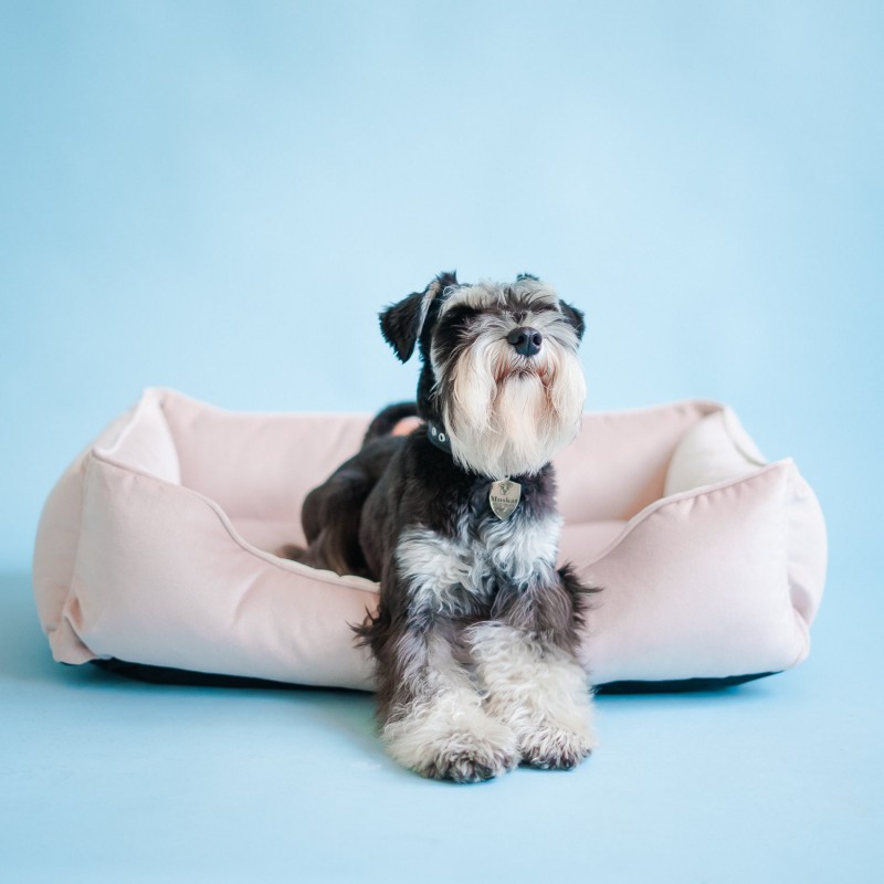 Mini dog bed Dusty Pink / Pale Pink velvet mat for dog / Puppy nesting / pet plush pillow / Puppy couch / Washable dog bed